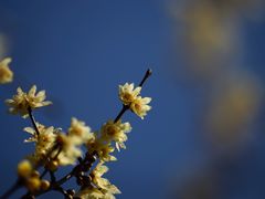 -白塘生态植物园