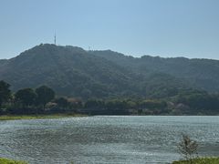 -风云岭森林公园