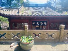 -韬光茶庵