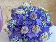 -植物学家的女儿(北马道巷店)