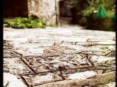 -高荡千年布依古寨旅游景区