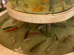 -芜湖白金汉爵大酒店