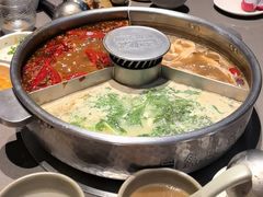 -巴奴毛肚火锅(大剧院店)