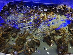 -澜悦港海鲜体验主题餐厅