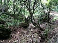 -玉华宫景区