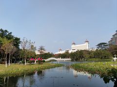 -映月湖公园