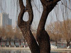 -中国农业博物馆
