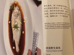 黄鱼-悦融琥珀·京鲁菜·海味珍品(西单店)