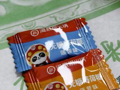 -海底捞火锅(公益西桥店)