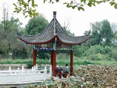 -青龙山国家森林公园