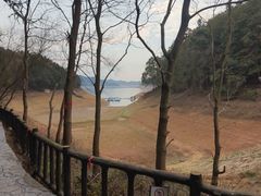 -酒仙湖景区