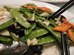 -蓬莱春(芝罘店)