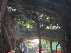 -横店影视城梦幻谷园区