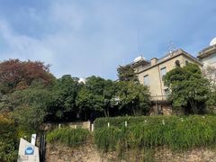 -上海佘山国家森林公园西佘山园