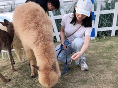 -Blue Concept Cafe&Farm·關於藍