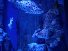 -成都浩海立方海洋公园