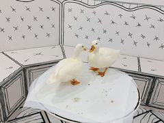 -白夜2D咖啡馆