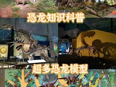 -湖南省地质博物馆