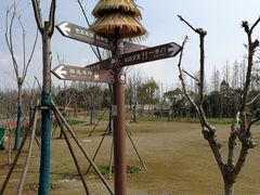 -上海长兴岛郊野公园