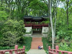-紫霞湖公园