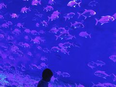 -波塞冬旅游度假区