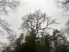 -潜山国家森林公园