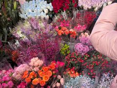-越秀西湖花市(广州城市广场花卉店)