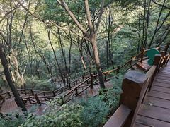 -大岭沟猕猴桃谷风景区
