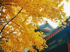 -承恩寺