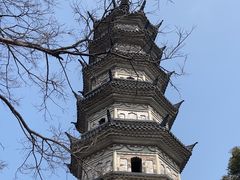 -苏州上方山国家森林公园