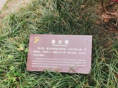 -房湖公园