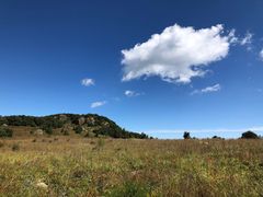 -白草畔自然风景区