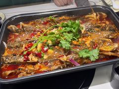 -青青河边草·小小河边鱼(万达广场太仓店)