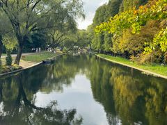 -上海共青森林公园