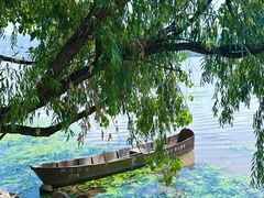 -西昌邛海湿地