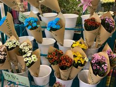 -BOBLOOM花店(宝龙旭辉广场店)