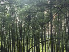 -杭州植物园