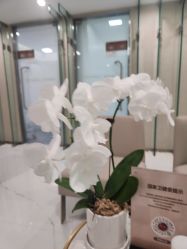 -Yestar艺星整形美容医院