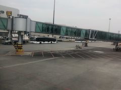 -绵阳南郊机场