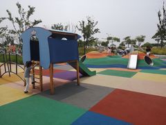 -春花秋色城市公园