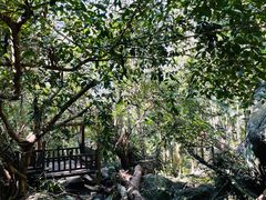 -七仙岭温泉国家森林公园