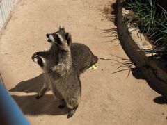 -石家庄市动物园