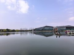 -上海长兴岛郊野公园