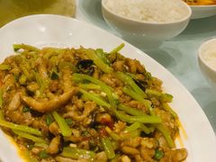 地道鱼香肉丝-眉州东坡·熊猫主题餐厅(枫蓝店)