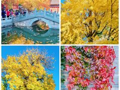 -香山公园-东宫门售票处