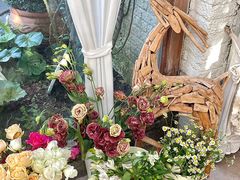 -Jo's Garden
