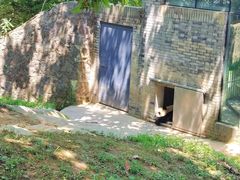 -都江堰中华大熊猫苑