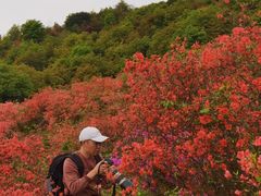-瑞安圣井山景区