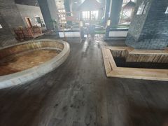-陆地游轮吉林神农温泉