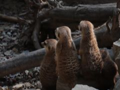 -杭州少年儿童公园